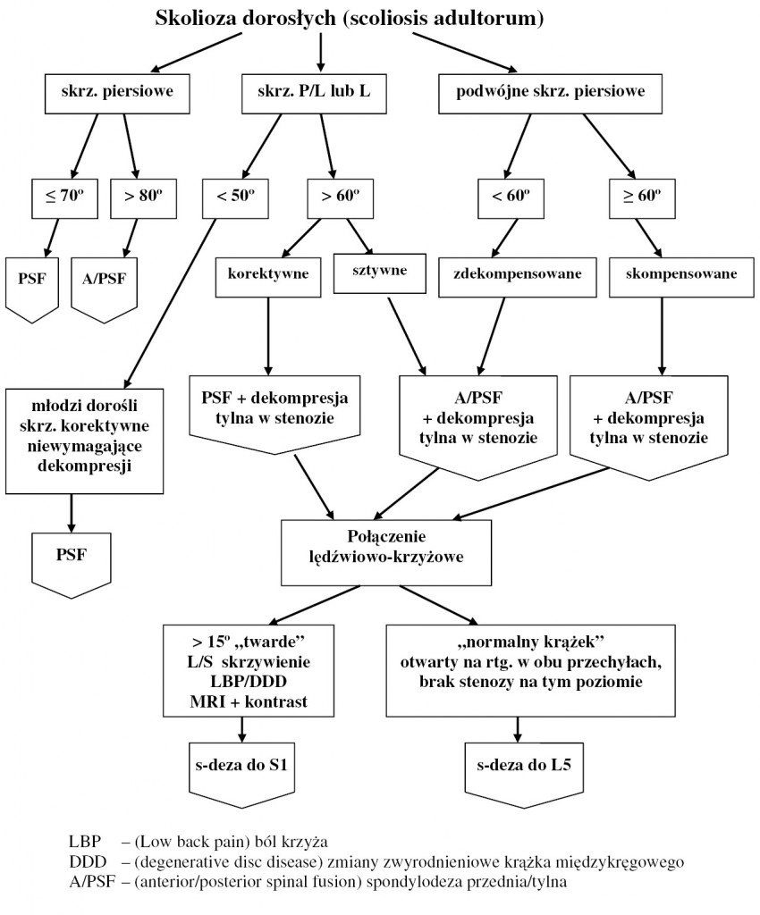 Uzupełnij Algorytm Postępowania Ratowniczego W Przypadku Zadławienia Niemowlęcia 4. Algorytm postępowania w idiopatycznej skoliozie u dorosłych